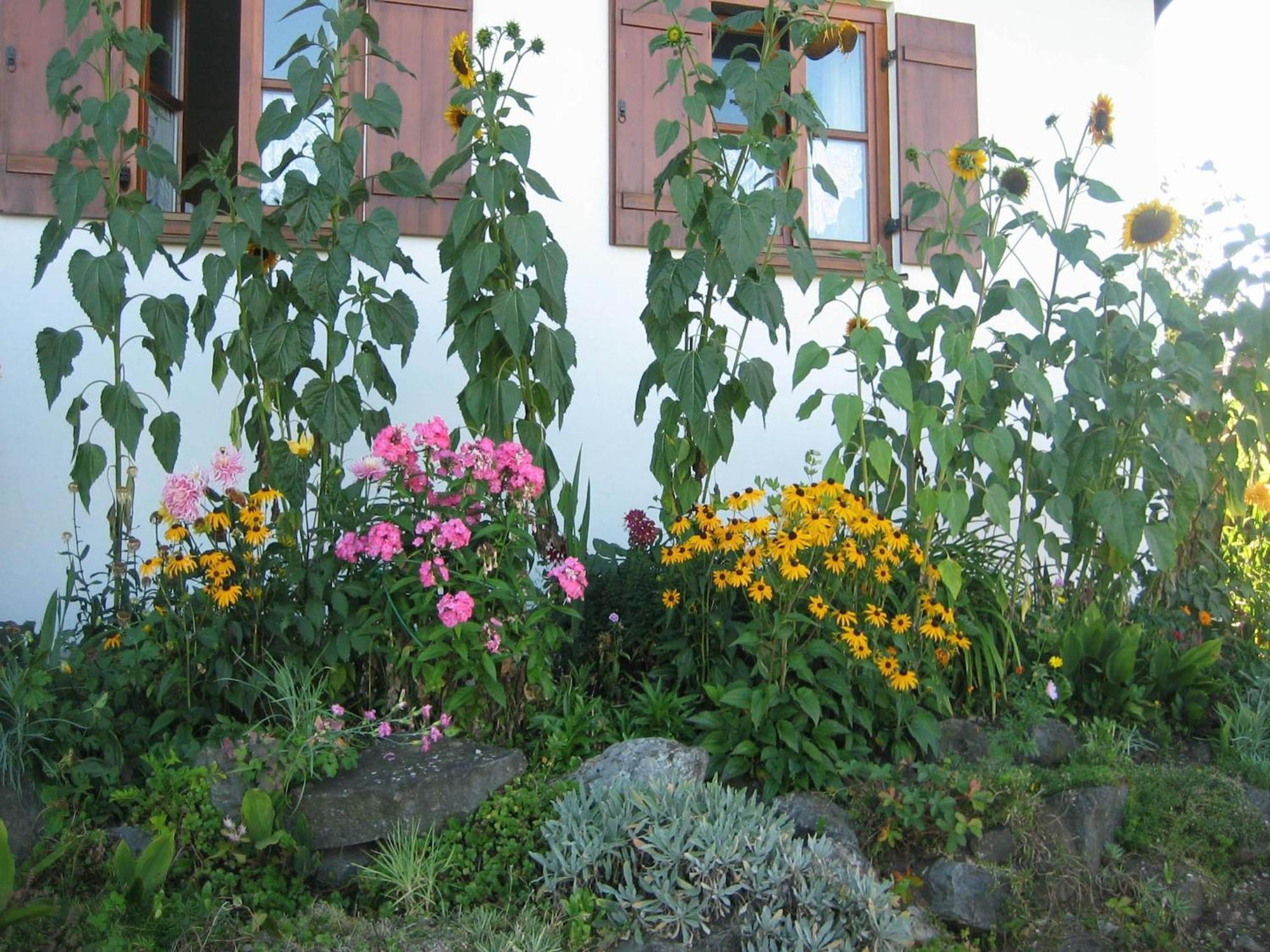Apartment In The Allg U With View Of The Bavarian Alps Bernbeuren Exterior photo